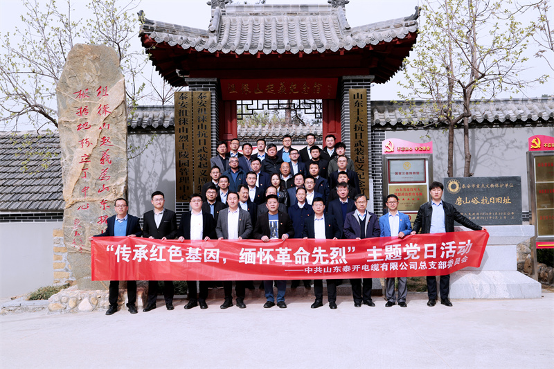 主题党日活动 | 传承红色基因 缅怀革命先烈