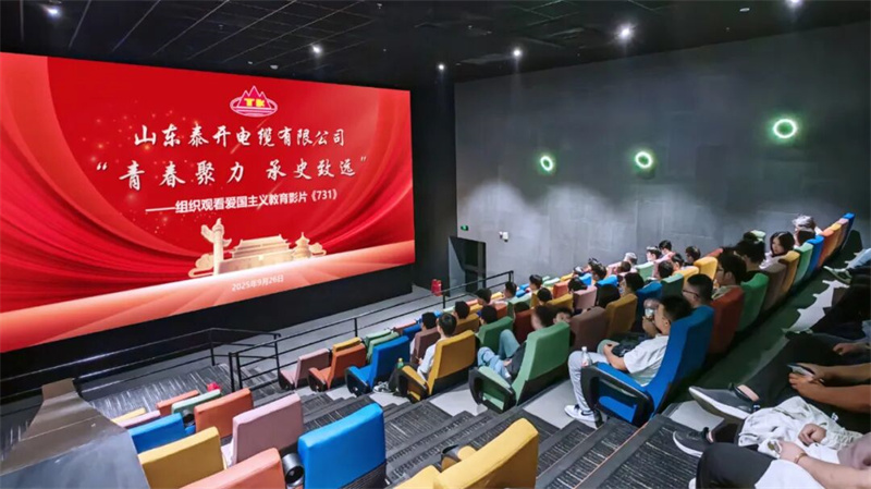 泰开电缆组织开展“青春聚力、承史致远”团建活动